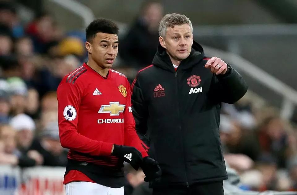 爱好者们带 爱好者们带